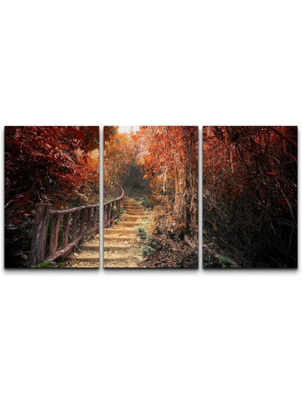 Autumn Forest Canvas Wall Art Set - Rustic Nature Photography, 3 Panels, 24